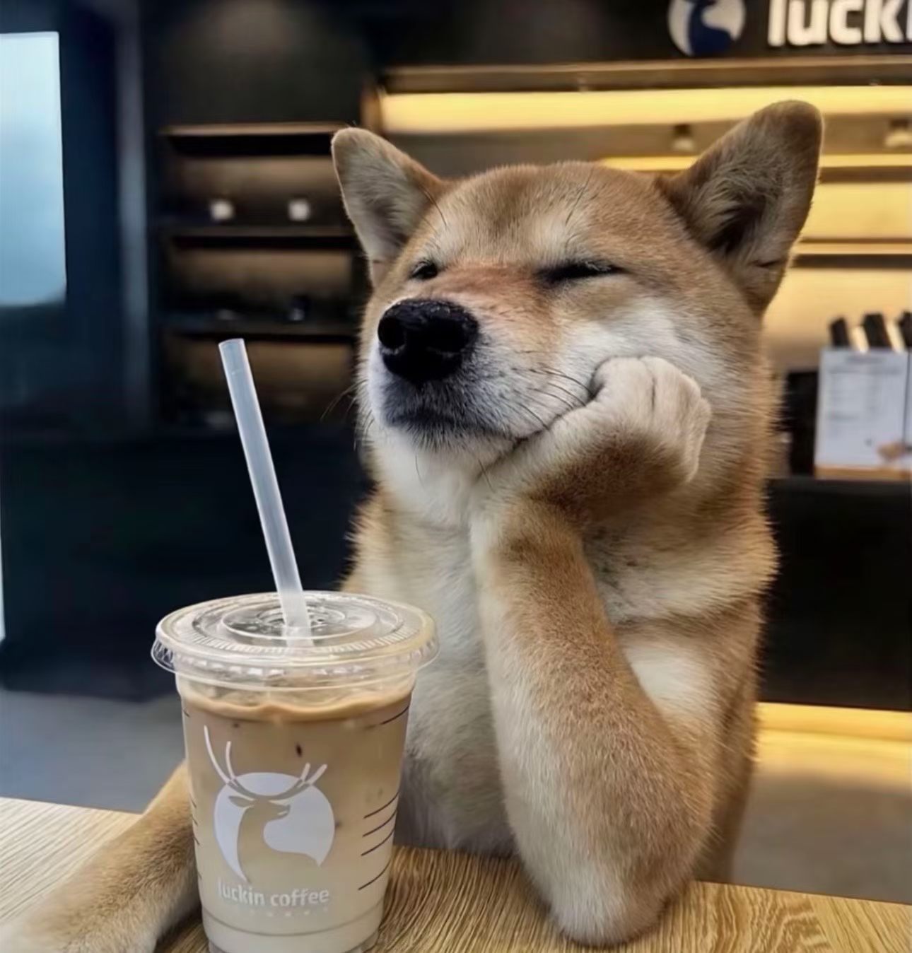 加载中